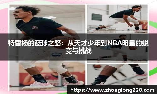 77体育app下载官网